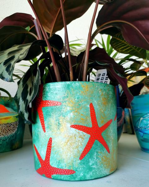 Estrella de Mar