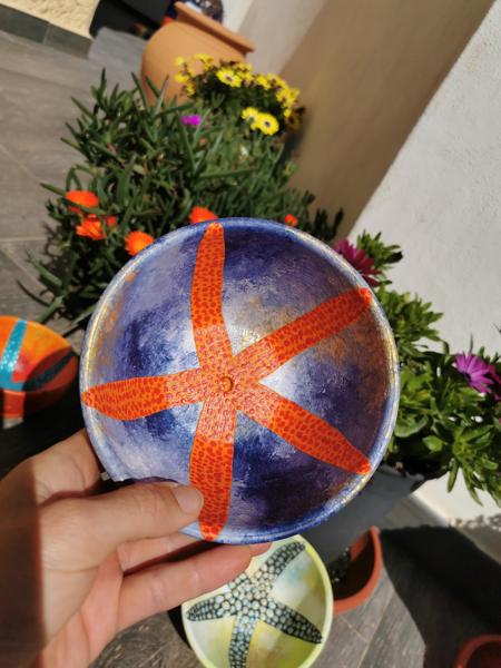 Estrella de Mar