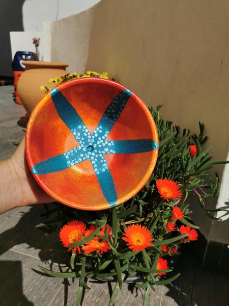 Cuencos con Estrella de Mar.